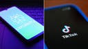 AI company Perplexity bids to merge with TikTok to avoid ban: report