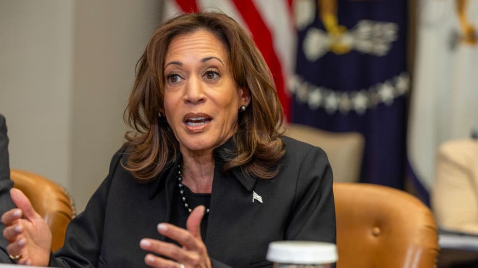 Wakil Presiden Kamala Harris saat konferensi pers