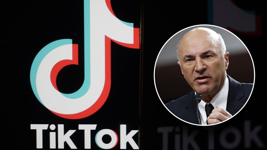 Kevin O'Leary Tiktok thumb