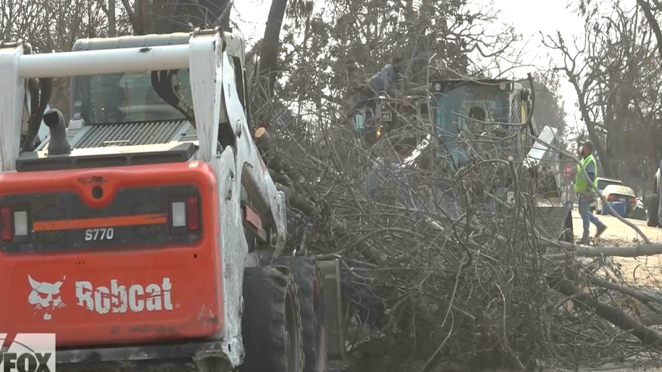 A tractor that moves tree branches