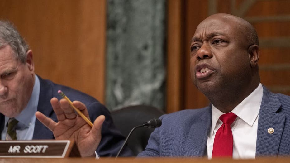 Senator Tim Scott