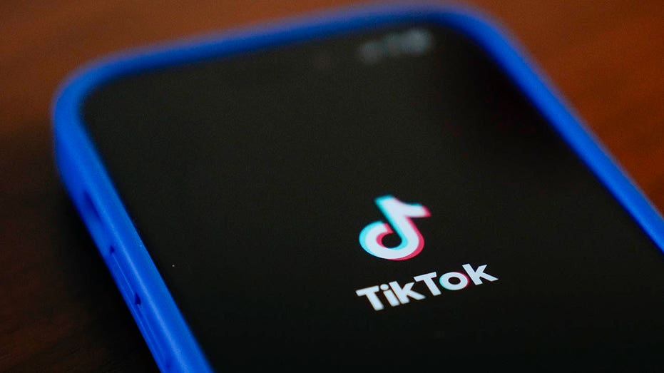 The TikTok app