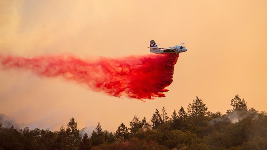 A CalFire aircraft drops a fire over Davis Winery during the Glass Fire in Napa County's St. Helena, California on September 27, 2020. Napa County between Calistoga and St. Helena on the night of September 27, 2020 just as the Bay Area comes into focus. wildfire conditions. (Photo by JOSH EDELSON / AFP) (Photo by JOSH EDELSON/AFP via Getty Images)