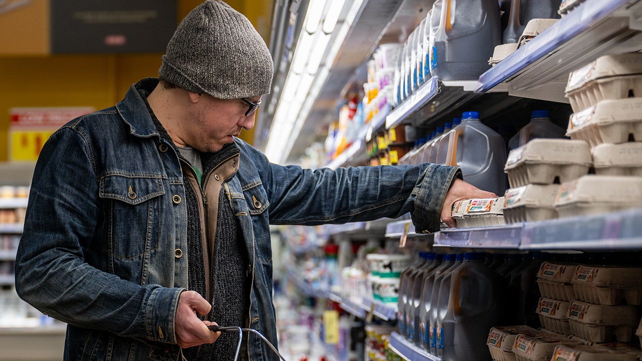 Los precios de los huevos predichos para saltar más del 40% en 2025: USDA