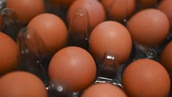 Restaurants deal with high costs as DOJ reportedly looks into egg prices