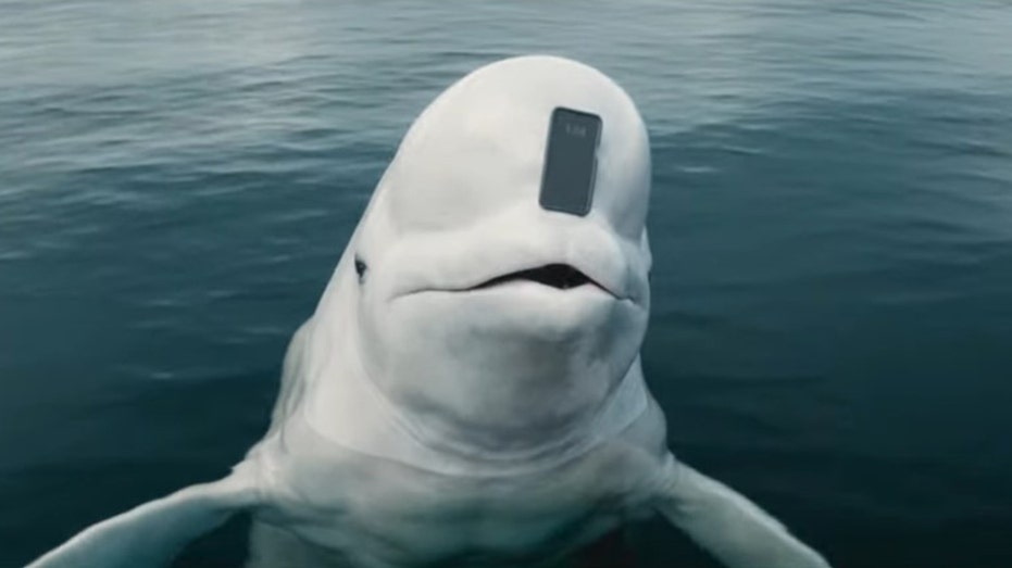 Kieran Culkin voices a genius whale in a new NerdWallet commercial for the Super Bowl. 