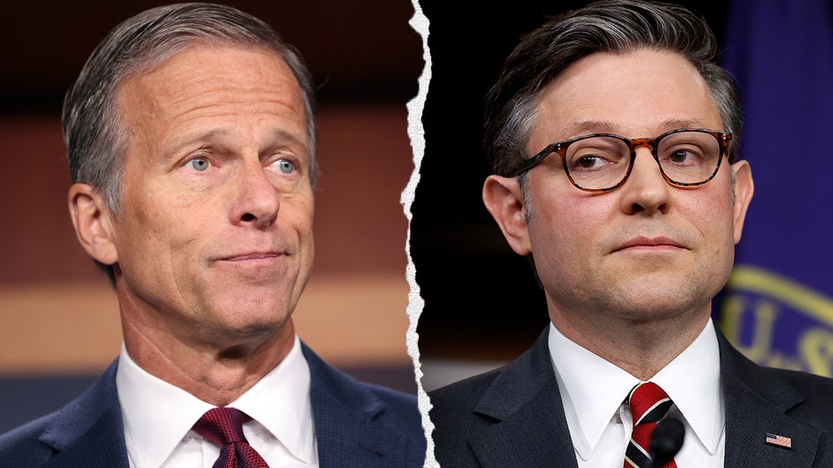 John Thune, Mike Johnson