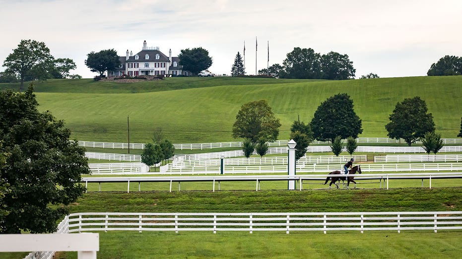 Seekor kuda yang berlari di Sagamore Farm