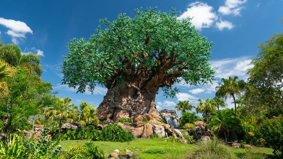 ORLANDO, FL - APRIL 03: General views of the 'Tree of Life' at Animal Kingdom, at the Walt Disney World Resort on April 03, 2022 in Orlando, Florida. (Photo by AaronP/Bauer-Griffin/GC Images)