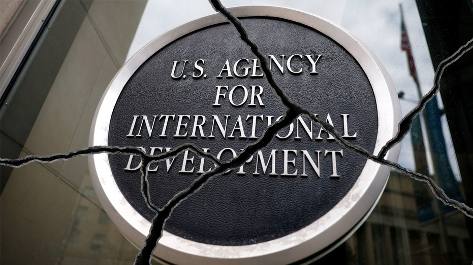 USAID Logo with Great Crack