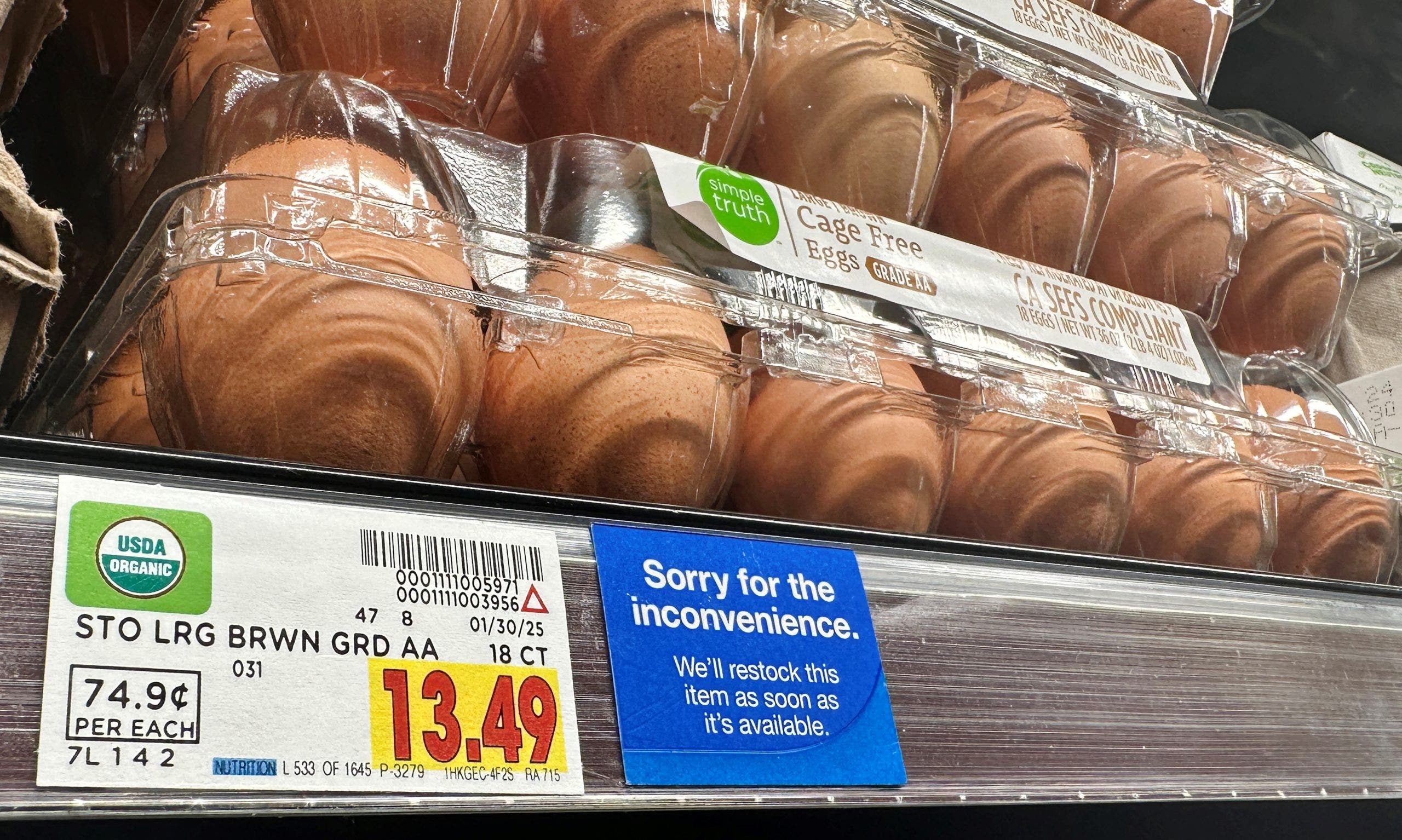Egg price spike: We are 'past the tough part,' Agriculture Secretary Rollins says