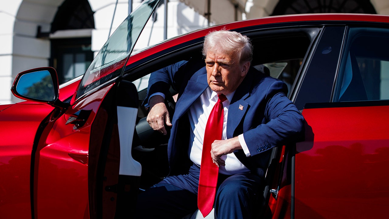 Trump buys red Tesla Model S at White House alongside Elon Musk: ‘I like signing a check!’