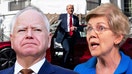 Democratic lawmakers are critical of Trump for promoting and embracing Tesla owner, Elon Musk.