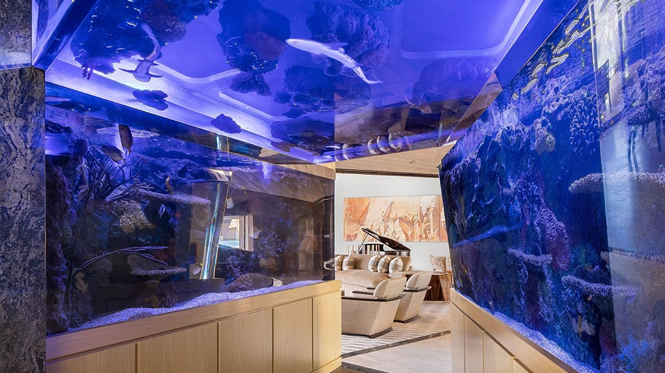 The fish and shark tanks built into the home