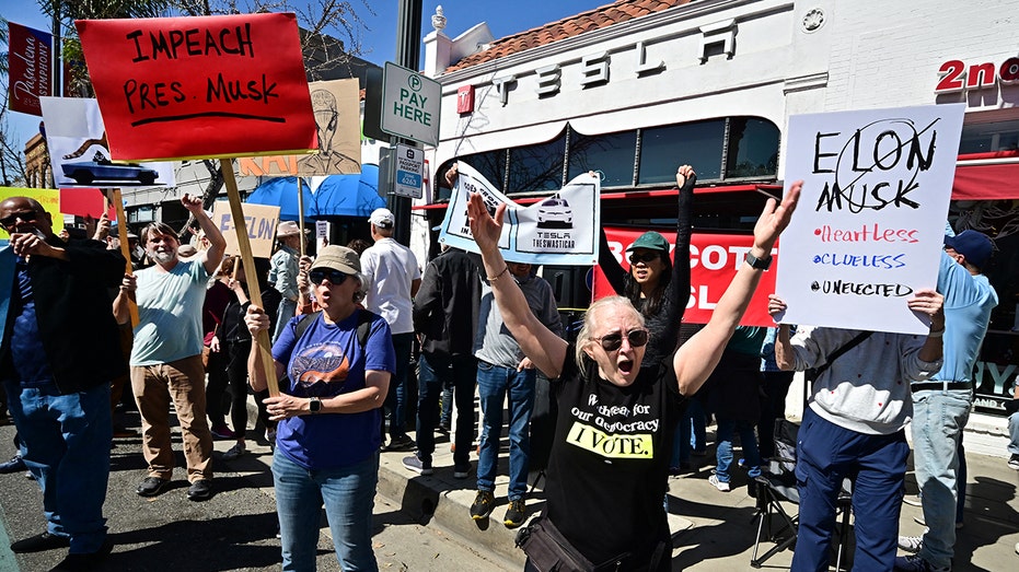 People protest the Elon Musk in California