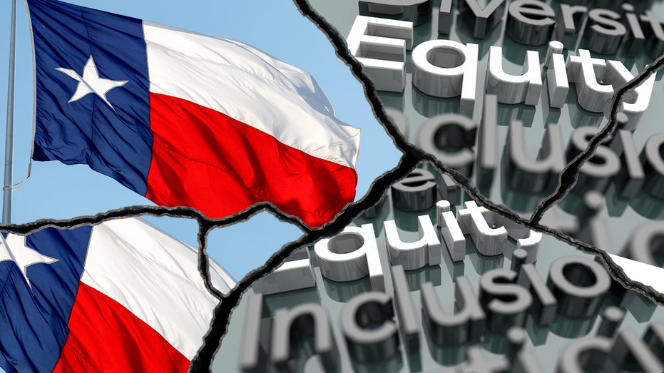 Texas flag and diversity and inclusion words