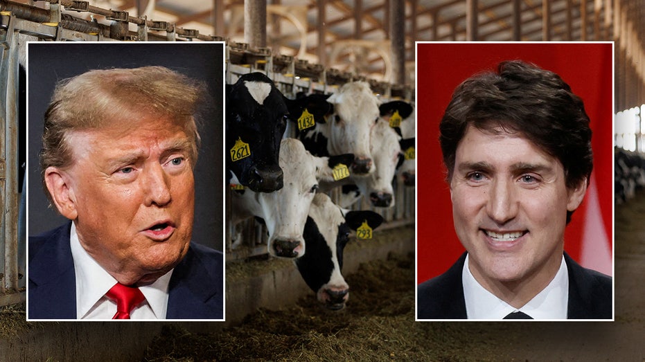 Donald Trump, Justin Trudeau