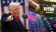 Economists pitch ‘ultimate reciprocal’ trade plan for Trump on tariffs