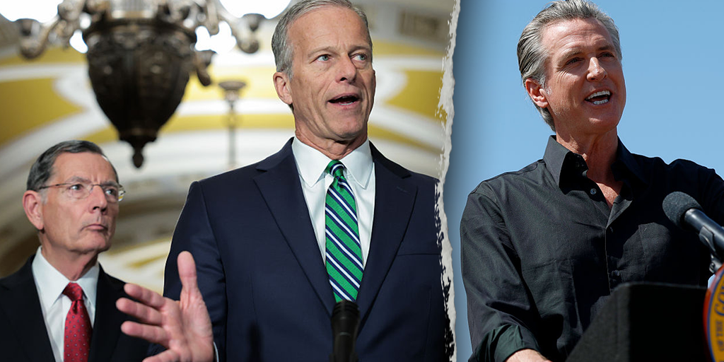 https://a57.foxnews.com/static.foxbusiness.com/foxbusiness.com/content/uploads/2025/05/1024/512/newsom-thune.png?ve=1&tl=1