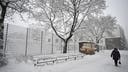 Freezing temperatures and embracing failure: A successful formula for Finland’s tech success