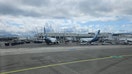 Alaska Airlines flights 1190 and 1094 clipped wings on Saturday.