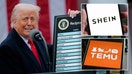 Trump with his tariffs chart
