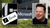 Microsoft to host Musk's Grok 3 despite ongoing OpenAI legal battle