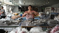 White House slashes 'de minimis' tariffs on Chinese goods to 54% - Fox News
