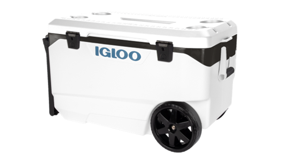 Igloo cooler with white top and white bottom