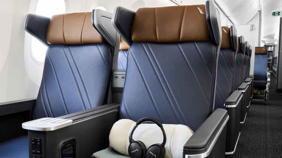 Headrest wings on American Airlines' Boeing 787-9 premium economy seats