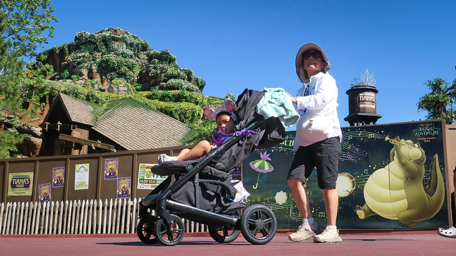 Family at Disney World in the summer