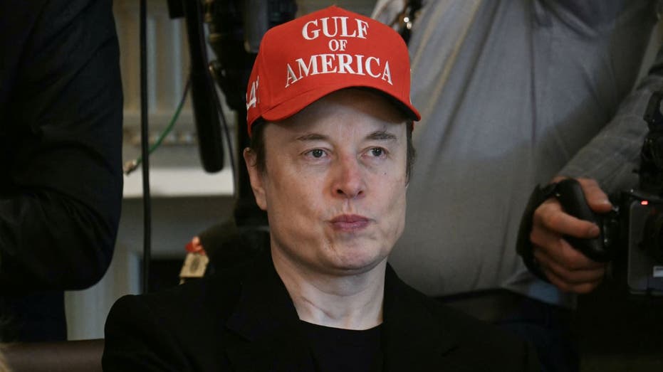Elon Musk at the Council of Ministers