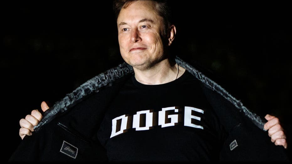 Elon Musk, DOGE, Tesla