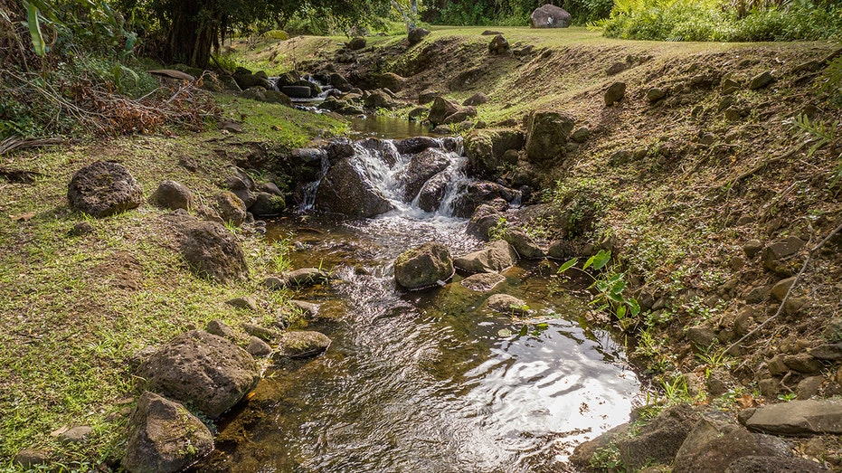 A stream runs through the property.