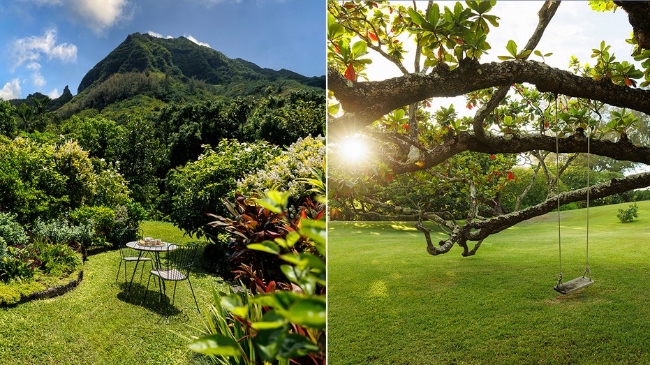 The beauty of the surrounding landscape is evident when walking through the estate.