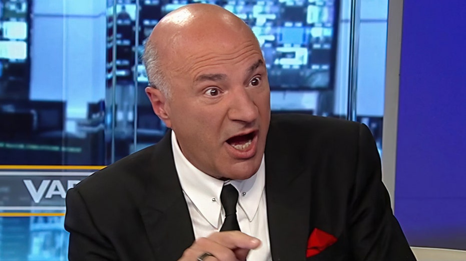 Kevin O'Leary in Fox Working Network