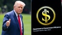 DOGE hails $263M savings from nixed contracts, including FM in Zambia and executive coaching