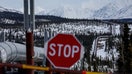 A part of the Trans Alaska Pipeline System runs through boreal forest past Alaska Range mountains in May 2023 near Delta Junction, Alaska. The 800-mile-long pipeline carries oil from the North Slope in Prudhoe Bay to the port of Valdez.  - Fox Business News