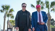 Elon Musk, Trump and a MAGA friendship that went south