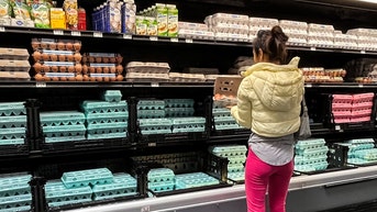Egg prices have dropped 61% since Trump took office, USDA data shows - Fox News