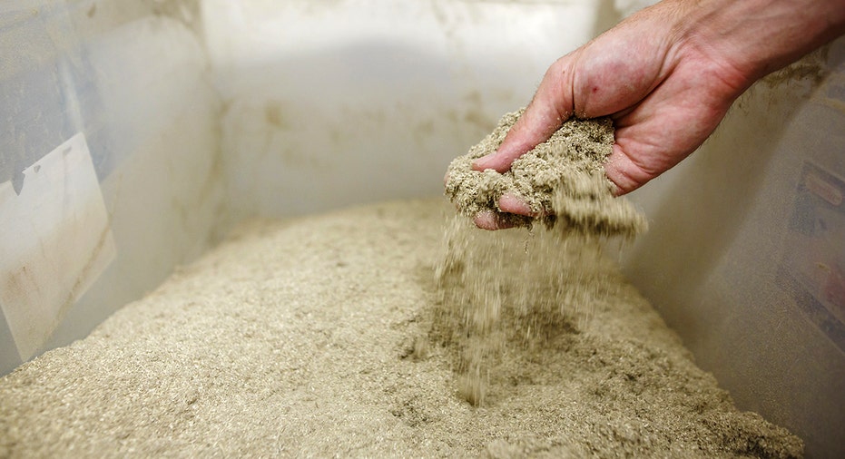 Ground cannabis prepared for drink infusion