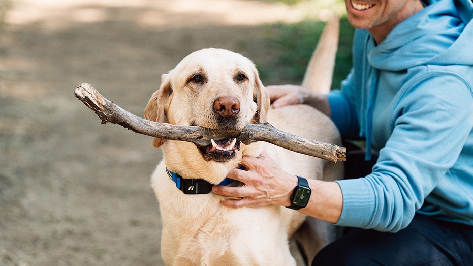 A man with a dog wearing a Fi dog collar