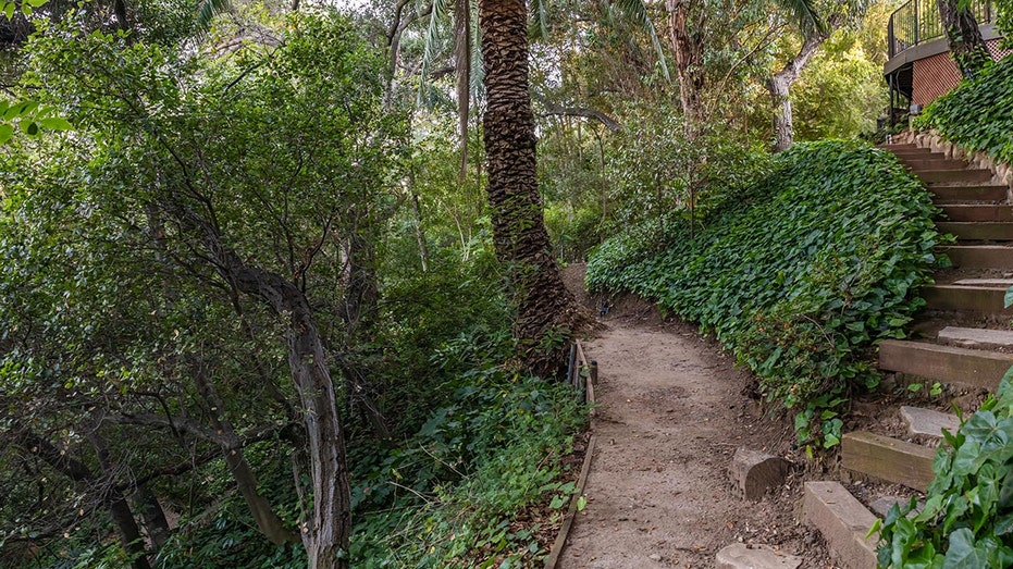A set of wooden stairs lead down to a trail along an ivy-covered hillside.