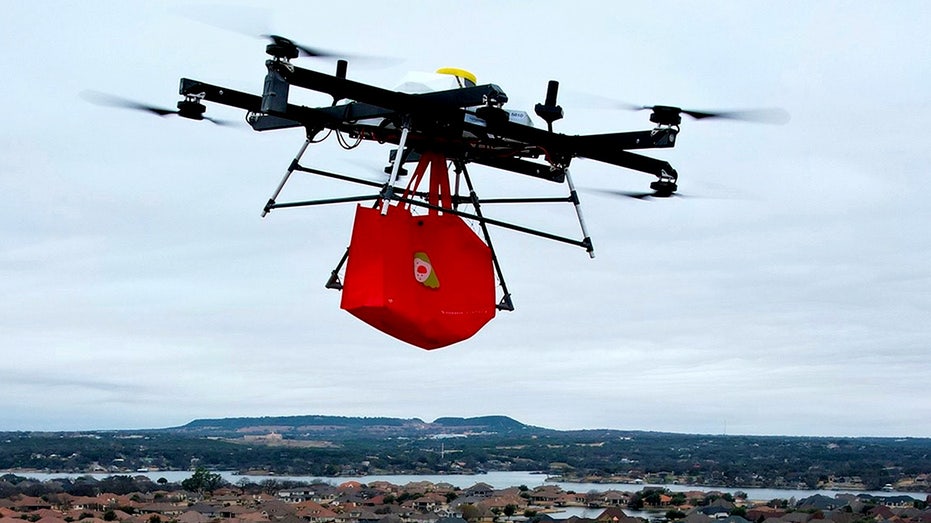 Flytrex drone