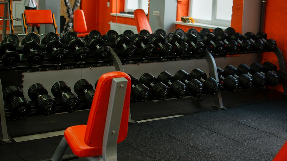 Dumbbells on a rack