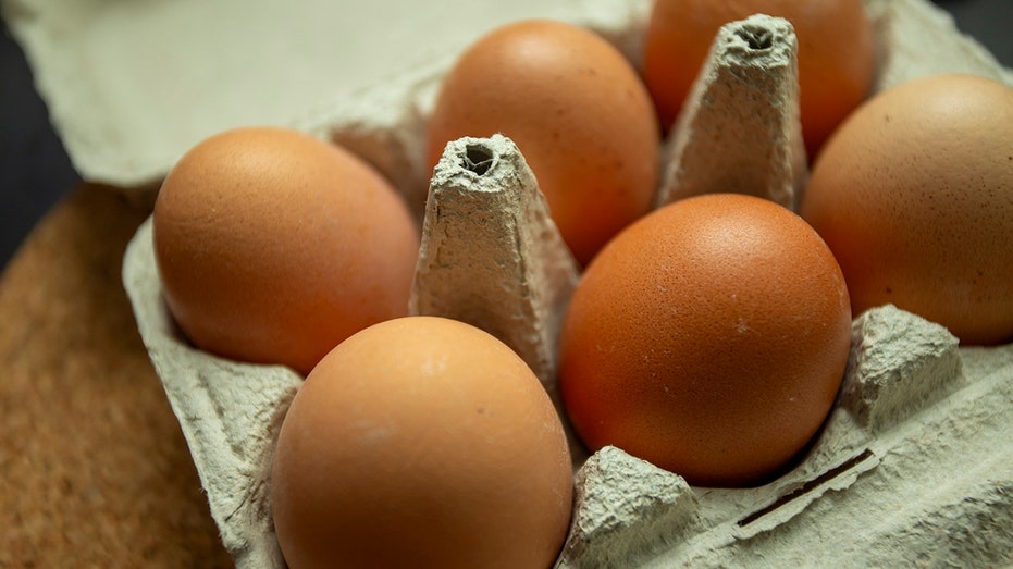 eggs in a cartoon