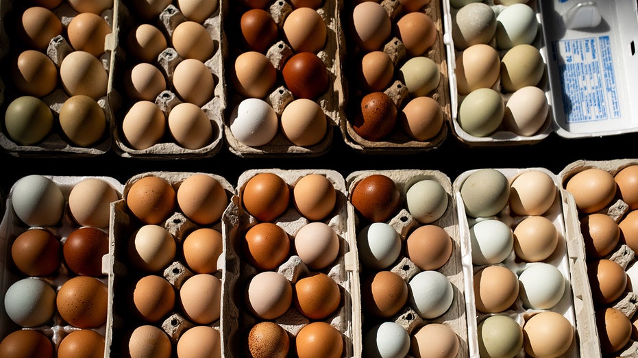 Eggs in cartons