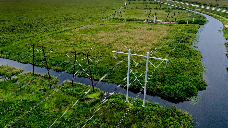 Florida Everglades power lines in September
