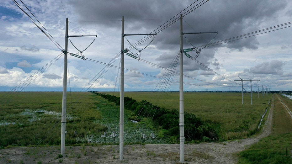 Florida Everglades power lines in September