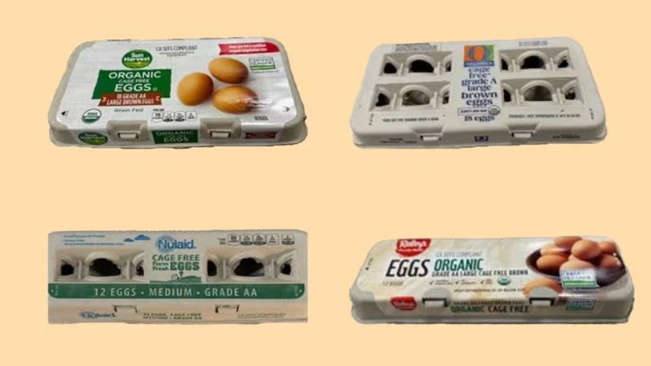 involved egg cartons
